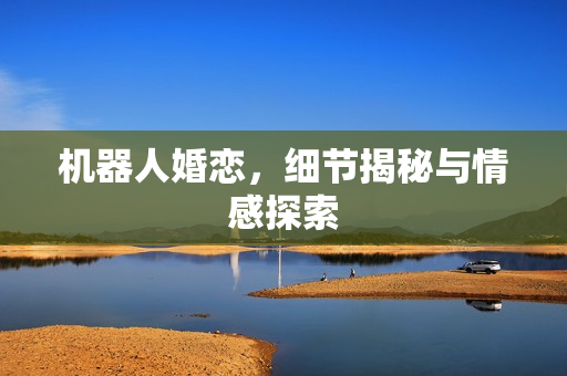 机器人婚恋，细节揭秘与情感探索