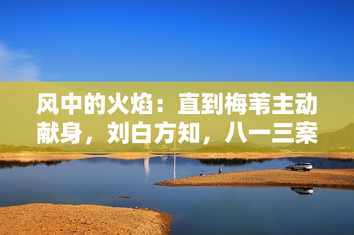 风中的火焰：直到梅苇主动献身，刘白方知，八一三案真凶是雷长田