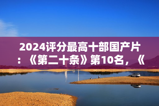 2024评分最高十部国产片：《第二十条》第10名，《破地狱》第3名