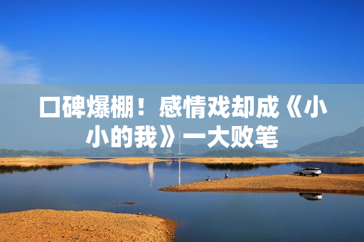 口碑爆棚！感情戏却成《小小的我》一大败笔