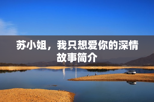 苏小姐，我只想爱你的深情故事简介