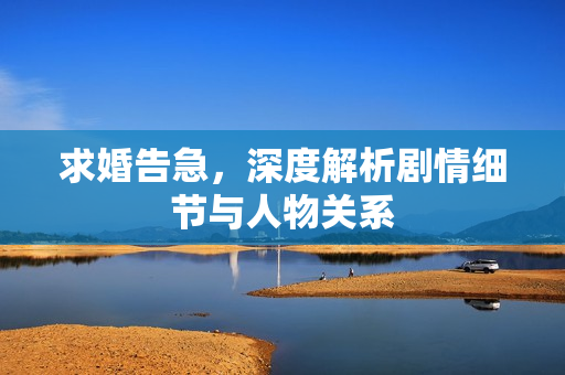 求婚告急，深度解析剧情细节与人物关系