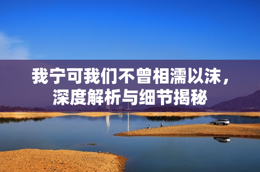 我宁可我们不曾相濡以沫，深度解析与细节揭秘