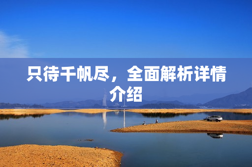 只待千帆尽，全面解析详情介绍