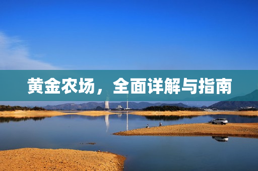 黄金农场，全面详解与指南