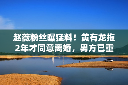 赵薇粉丝曝猛料！黄有龙拖2年才同意离婚，男方已重组家庭