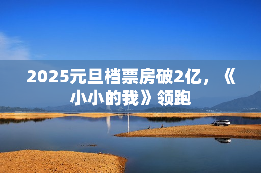 2025元旦档票房破2亿，《小小的我》领跑