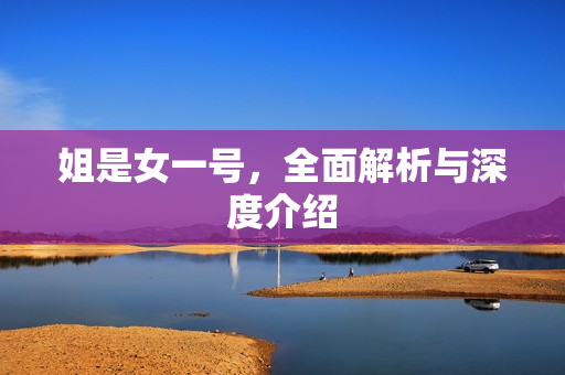 姐是女一号，全面解析与深度介绍