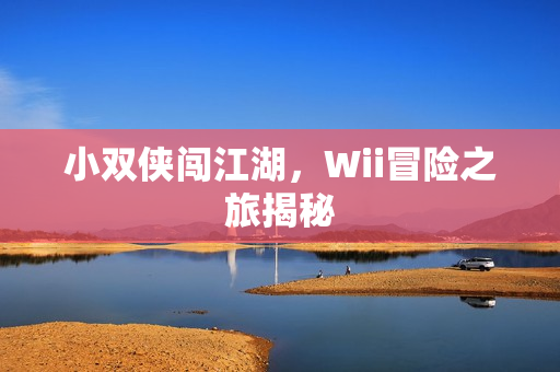 小双侠闯江湖，Wii冒险之旅揭秘