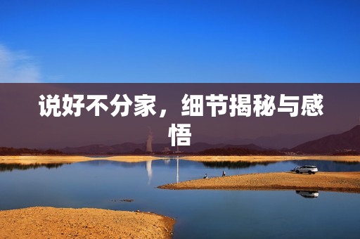 说好不分家，细节揭秘与感悟