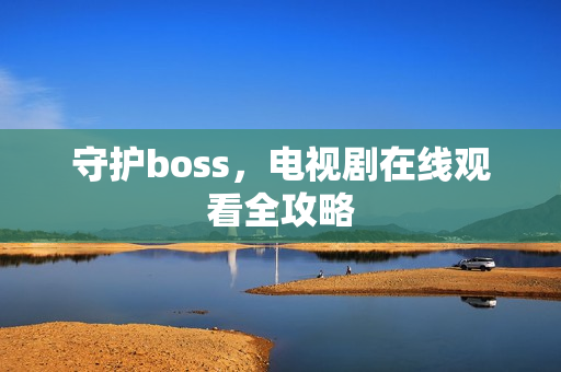 守护boss，电视剧在线观看全攻略