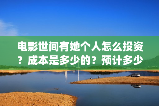 电影世间有她个人怎么投资？成本是多少的？预计多少票房？(世间有她电影现在什么情况)