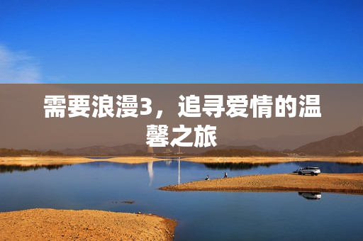 需要浪漫3，追寻爱情的温馨之旅