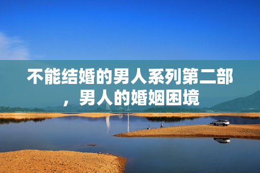 不能结婚的男人系列第二部，男人的婚姻困境