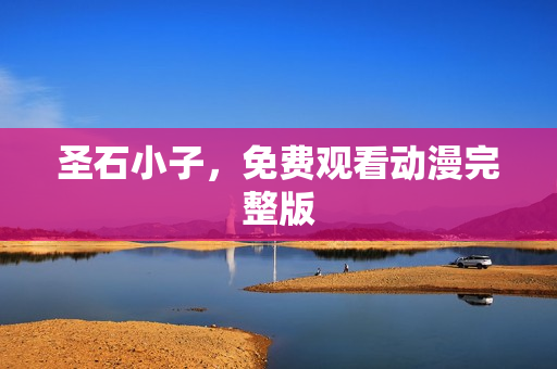 圣石小子，免费观看动漫完整版