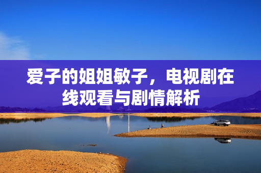 爱子的姐姐敏子，电视剧在线观看与剧情解析