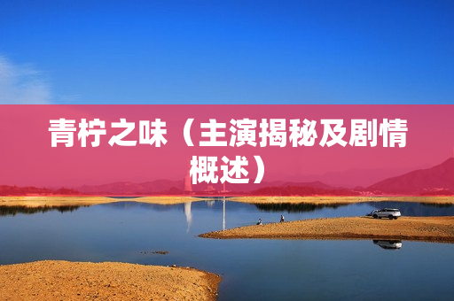 青柠之味（主演揭秘及剧情概述）