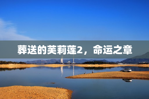 葬送的芙莉莲2，命运之章