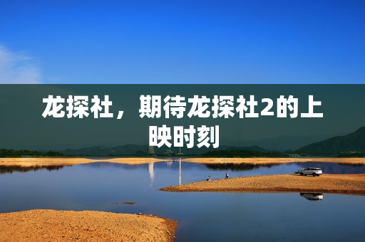 龙探社，期待龙探社2的上映时刻