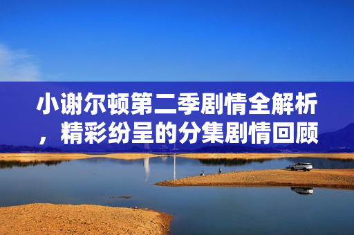 小谢尔顿第二季剧情全解析，精彩纷呈的分集剧情回顾