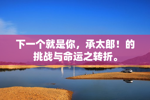 下一个就是你，承太郎！的挑战与命运之转折。