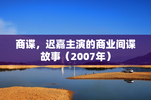 商谍，迟嘉主演的商业间谍故事（2007年）