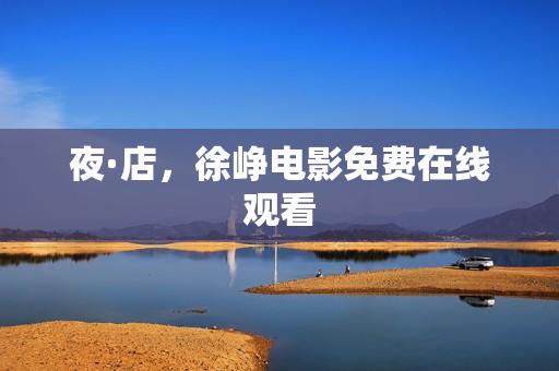 夜·店，徐峥电影免费在线观看