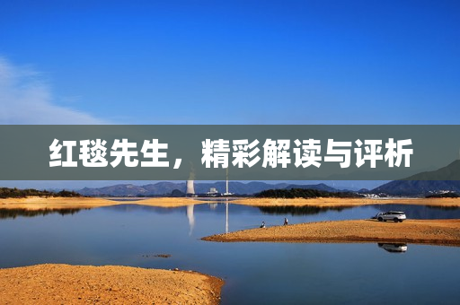 红毯先生，精彩解读与评析