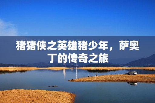 猪猪侠之英雄猪少年，萨奥丁的传奇之旅