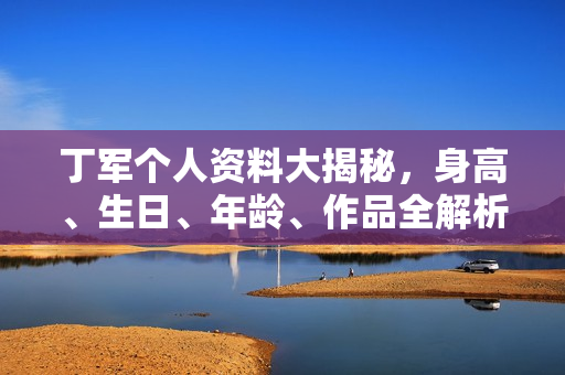 丁军个人资料大揭秘，身高、生日、年龄、作品全解析及图片展示