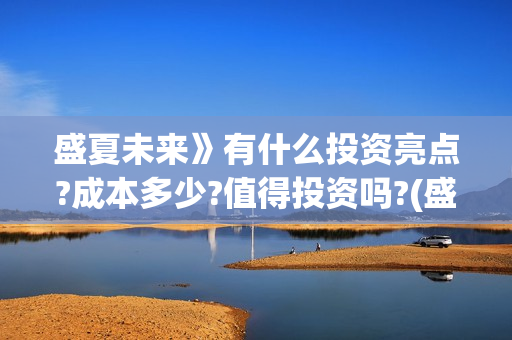 盛夏未来》有什么投资亮点?成本多少?值得投资吗?(盛夏未来ing)