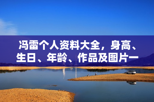 冯雷个人资料大全，身高、生日、年龄、作品及图片一览