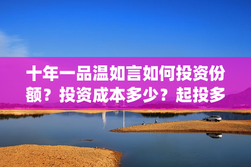十年一品温如言如何投资份额？投资成本多少？起投多少？(十年一品温如言小说)