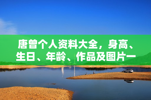 唐曾个人资料大全，身高、生日、年龄、作品及图片一览