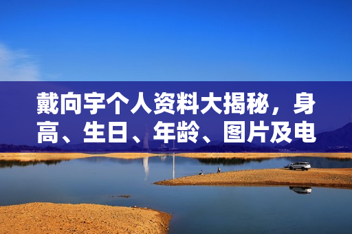 戴向宇个人资料大揭秘，身高、生日、年龄、图片及电视剧电影作品全解析