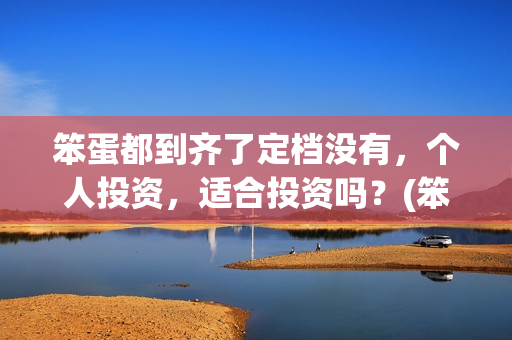 笨蛋都到齐了定档没有，个人投资，适合投资吗？(笨蛋下一句)