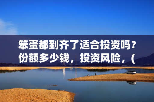 笨蛋都到齐了适合投资吗？份额多少钱，投资风险，(笨蛋到死都治不好安卓)
