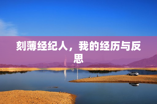 刻薄经纪人，我的经历与反思