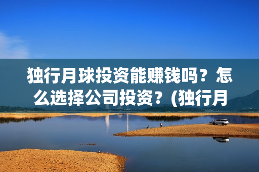 独行月球投资能赚钱吗？怎么选择公司投资？(独行月球投资方)