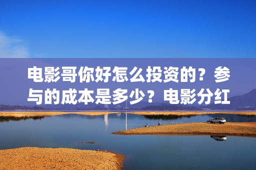 电影哥你好怎么投资的？参与的成本是多少？电影分红快吗？(你好哥哥语音)
