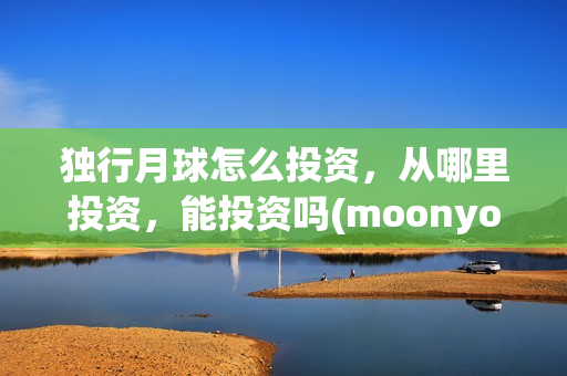 独行月球怎么投资，从哪里投资，能投资吗(moonyou-独行月球)