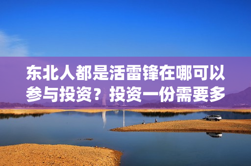 东北人都是活雷锋在哪可以参与投资？投资一份需要多少钱？(东北人都是活雷锋 歌词)