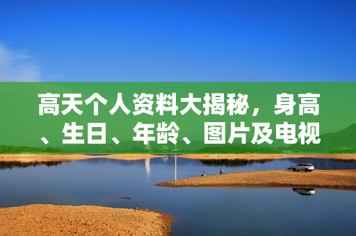 高天个人资料大揭秘，身高、生日、年龄、图片及电视剧电影作品全解析