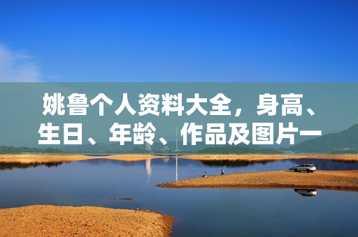 姚鲁个人资料大全，身高、生日、年龄、作品及图片一览