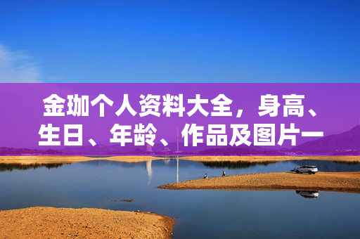 金珈个人资料大全，身高、生日、年龄、作品及图片一览