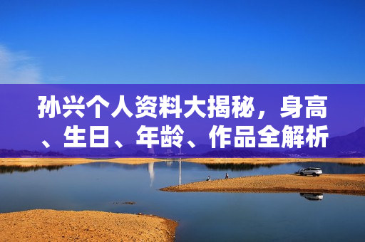 孙兴个人资料大揭秘，身高、生日、年龄、作品全解析，电视剧电影一览无余。