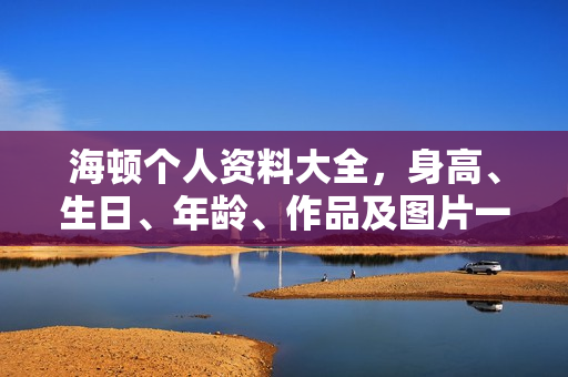 海顿个人资料大全，身高、生日、年龄、作品及图片一览