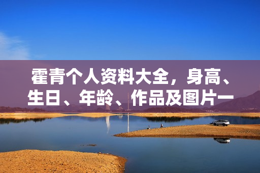 霍青个人资料大全，身高、生日、年龄、作品及图片一览