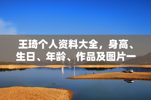王琦个人资料大全，身高、生日、年龄、作品及图片一览