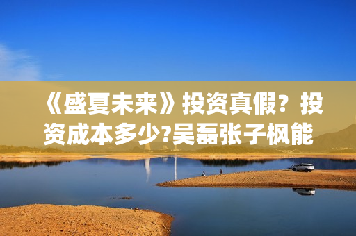 《盛夏未来》投资真假？投资成本多少?吴磊张子枫能吸多少票房？(《盛夏未来》上映)